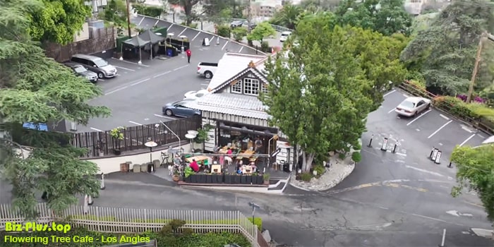 Flowering Tree Cafe