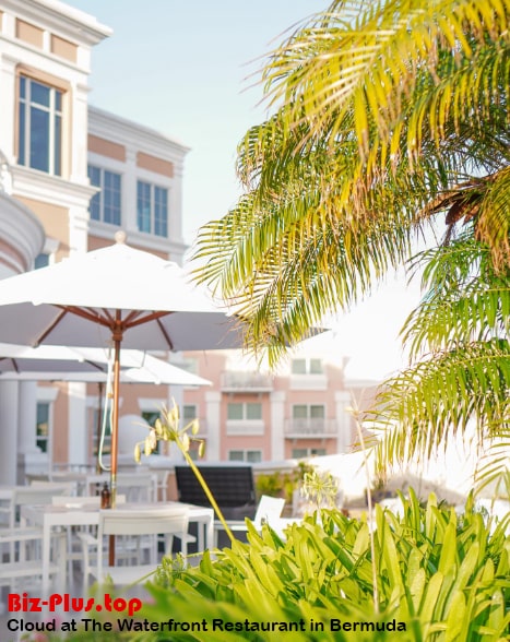 Cloud at The Waterfront Restaurant in Bermuda