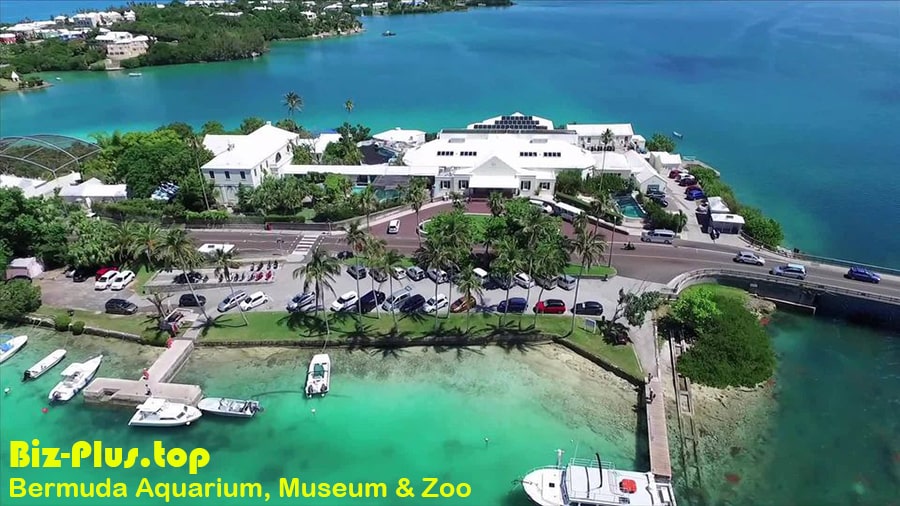 Bermuda Aquarium, Museum & Zoo