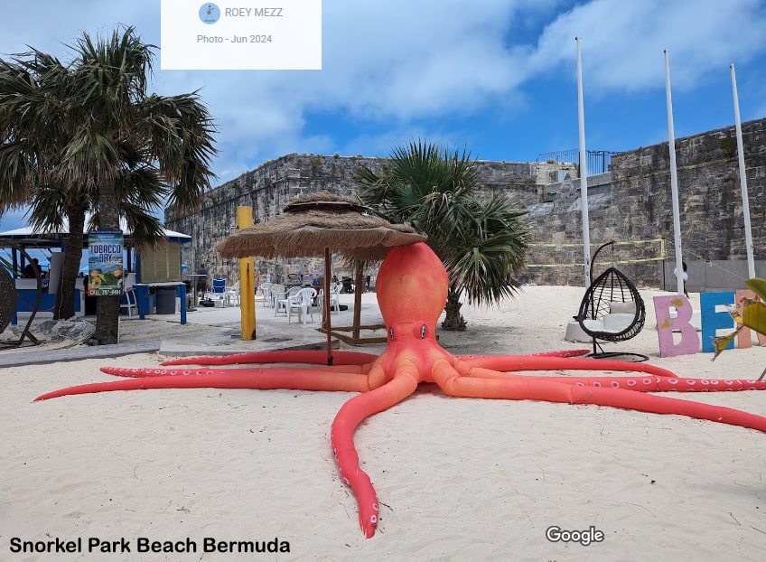 Snorkel Park Beach Bermuda