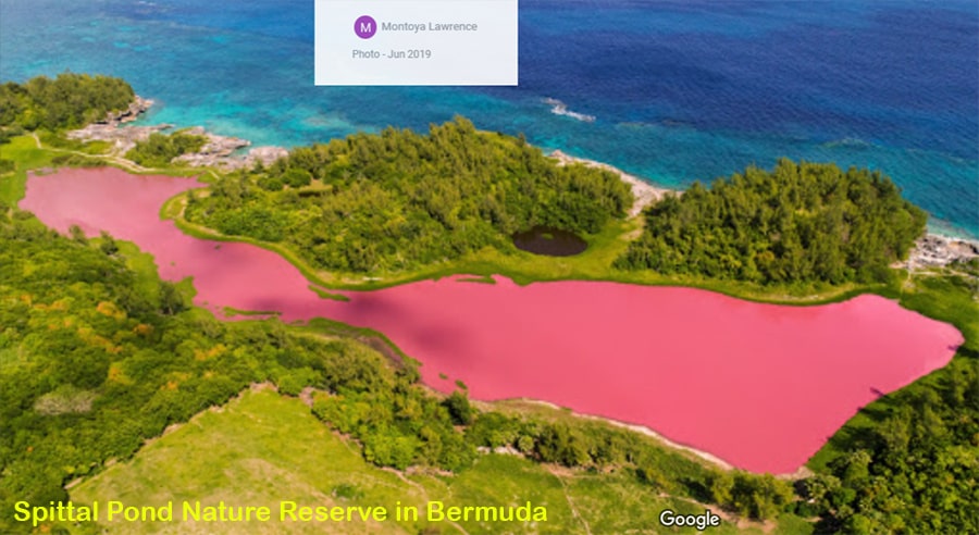 Spittal Pond Nature Reserve in Bermuda