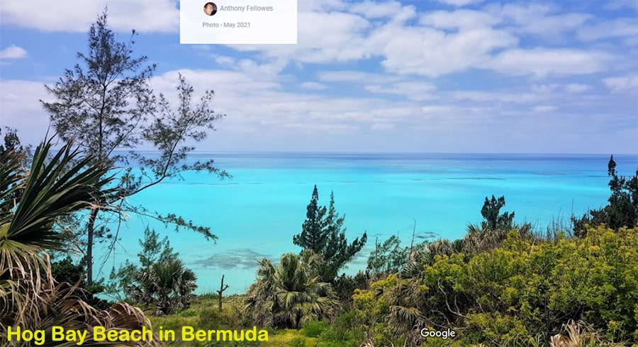 Hog Bay Beach in Bermuda